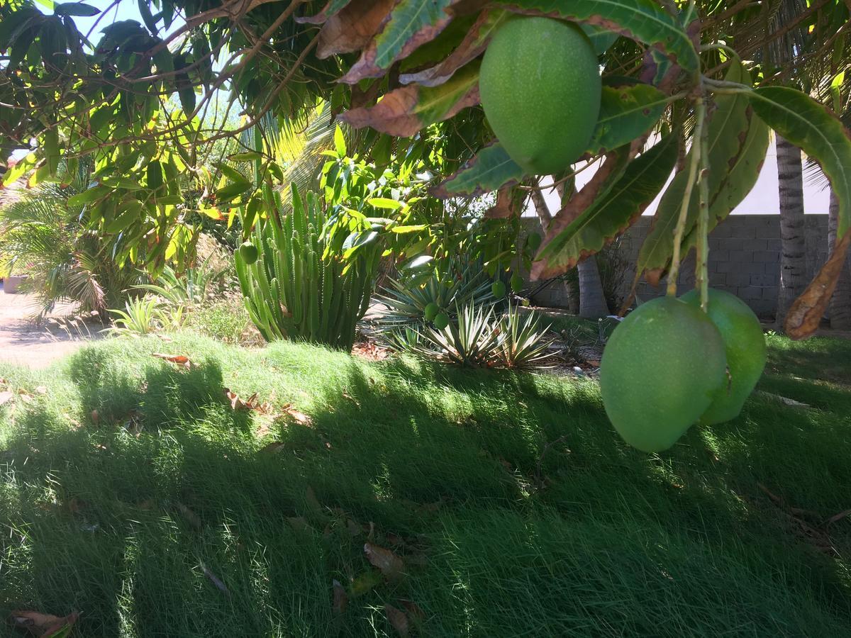 パームビーチBubali Gardensアパートメント エクステリア 写真